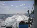 Allgemeinbilder/31051/und-so-sieht-es-hinter-dem ...und so sieht es hinter dem Schiff aus.....bei voller kraft voraus!!
aufgenommen auf Ibiza august 2009