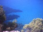 Landschaftsbilder/10568/ein-wunderbares-meeresblauund-kristallklares-wasser-wie ein wunderbares meeresblau...und kristallklares Wasser wie man sieht....Blick von einem Felsen der Bucht 'Cala d Hort' auf das Meer....aufgenommen im Juni 2007